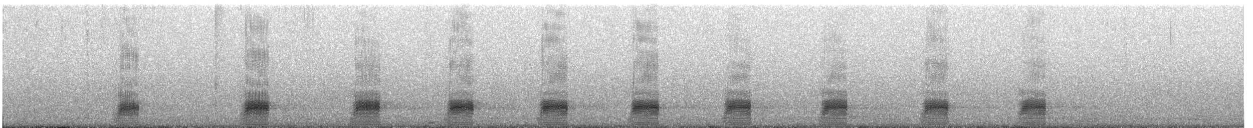 Germano reale - ML393032401