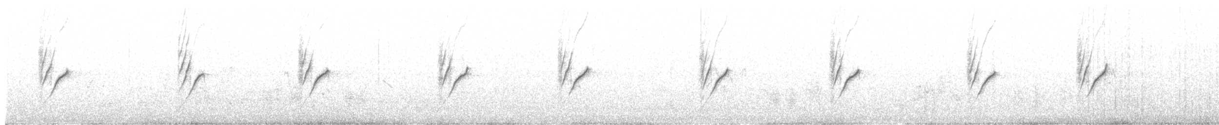 Purpurnektarvogel - ML393164561