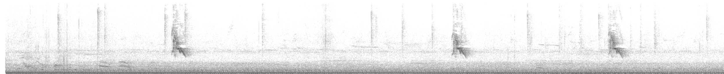 Painted Redstart - ML393399291