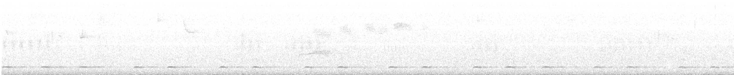 Chevêchette naine (gnoma) - ML393410321