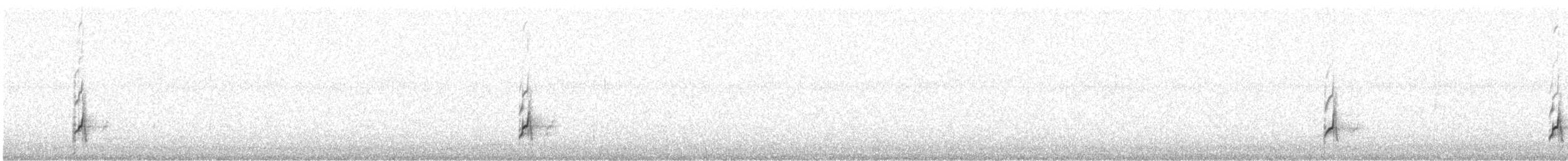 Avocette élégante - ML393452521