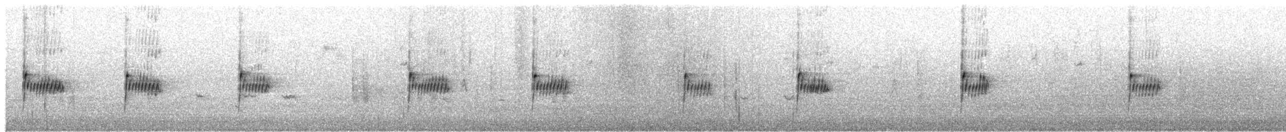 イワミソサザイ - ML393600061