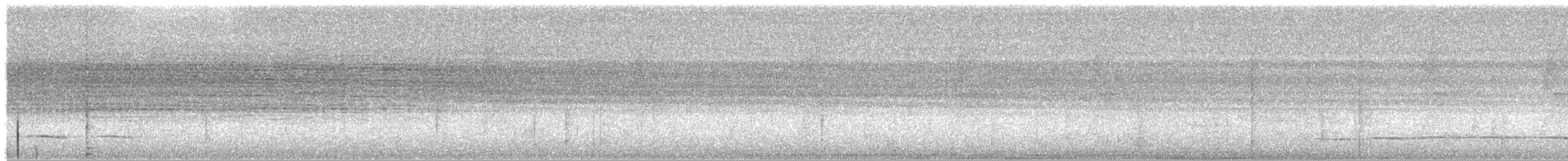 Streak-chested Antpitta (Pacific Slope) - ML393654221