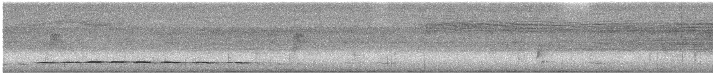 Streak-chested Antpitta (Pacific Slope) - ML393654381