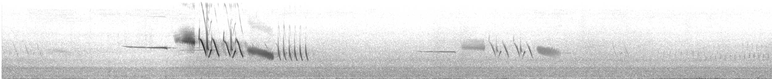 White-crowned Sparrow - ML393696781