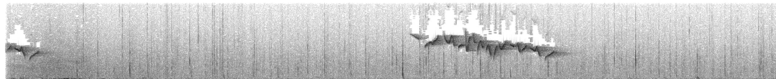 Тимелія-куцохвіст велика (підвид albiventer/pallidior) - ML393798121