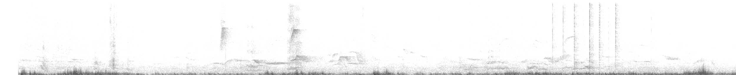 Avustralya Saksağanı (telonocua/tyrannica) - ML394013751