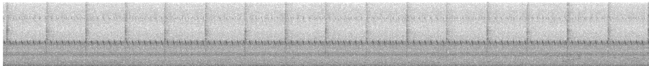 Sahul Cicadabird - ML394173601