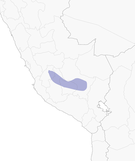 Distribution of the Bearded Mountaineer - Range Map