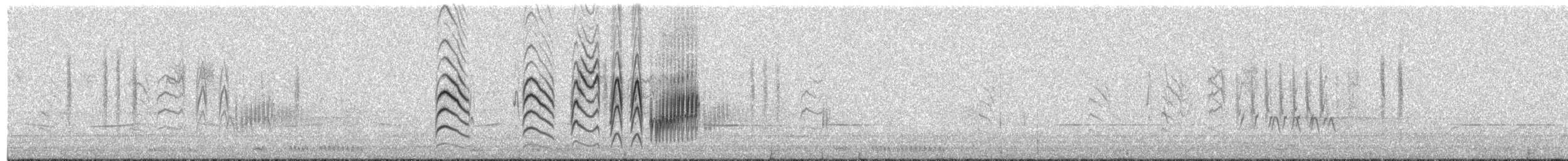 Cisticole murmure - ML394289001