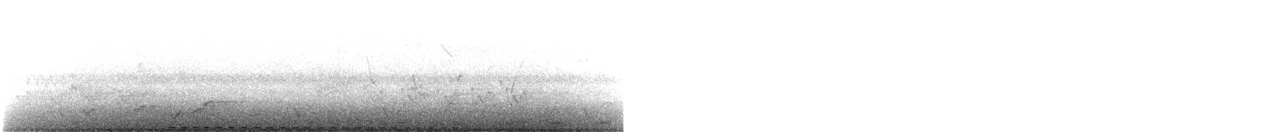 hvitbrynsporegjøk (burchellii/fasciipygialis) (busksporegjøk) - ML394294041