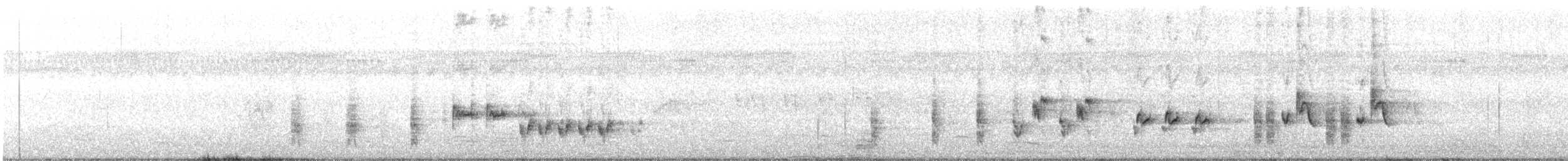 Australian Reed Warbler - ML394294641