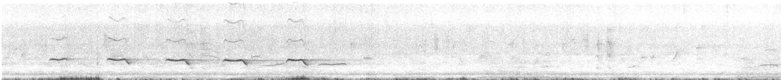 Кустарниковая кукушка [группа variolosus] - ML394311281