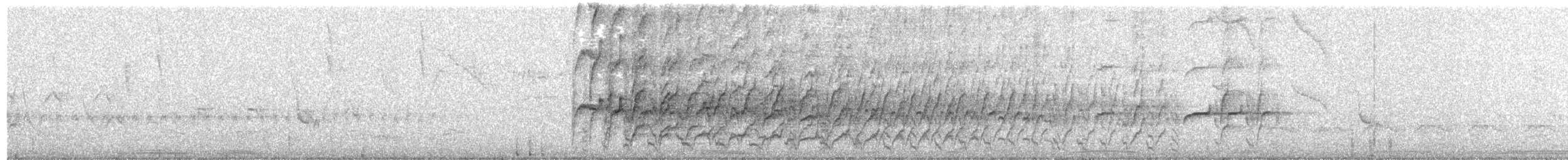 Degenschnabel-Baumsteiger - ML394531931