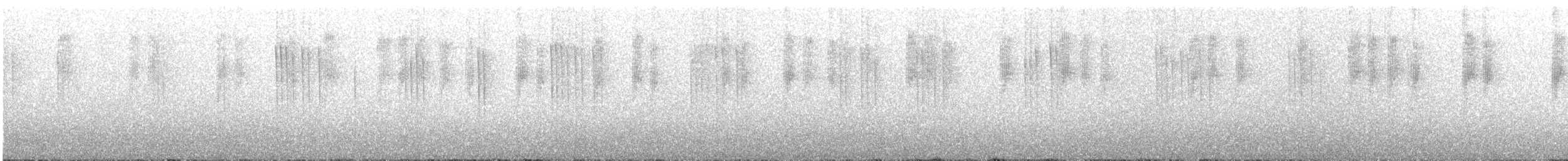 Stripe-tailed Hummingbird - ML394563541