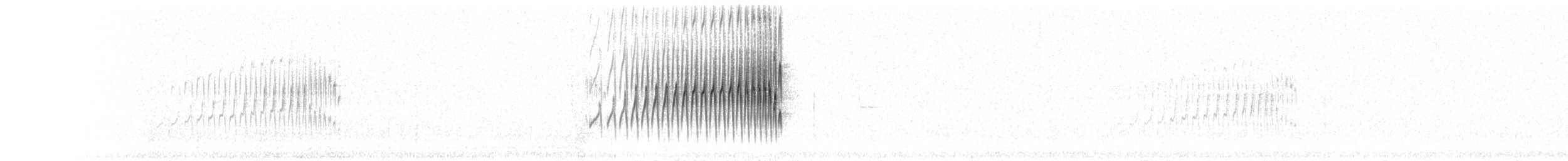 Strichelrückencanastero [wyatti-Gruppe] - ML394578121