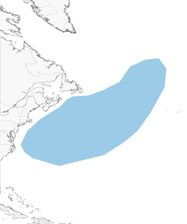 Distribution of the Bermuda Petrel - Range Map
