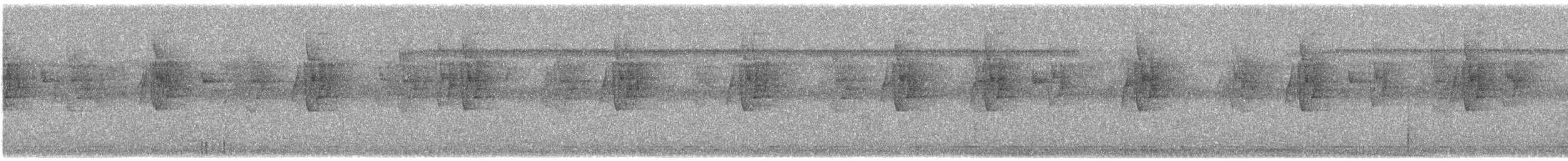 Большеклювый колибри-отшельник [группа moorei] - ML394585951