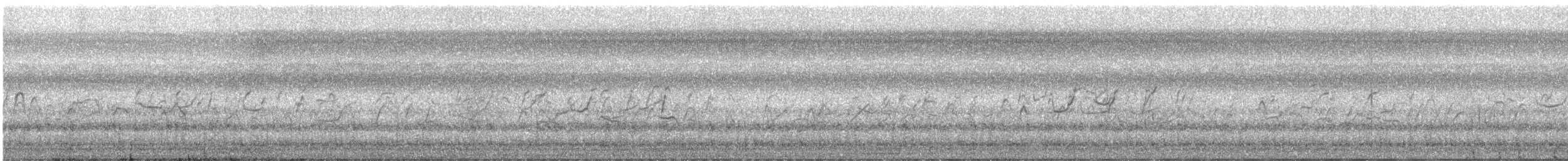 Kara Karınlı Islıkçı Ördek - ML394599781