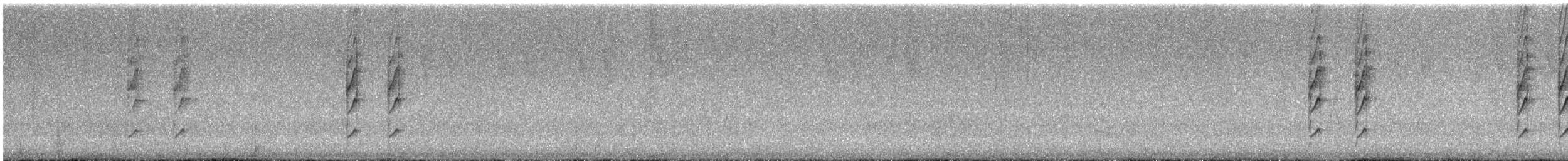 Todirostre de Kaempfer - ML394718131