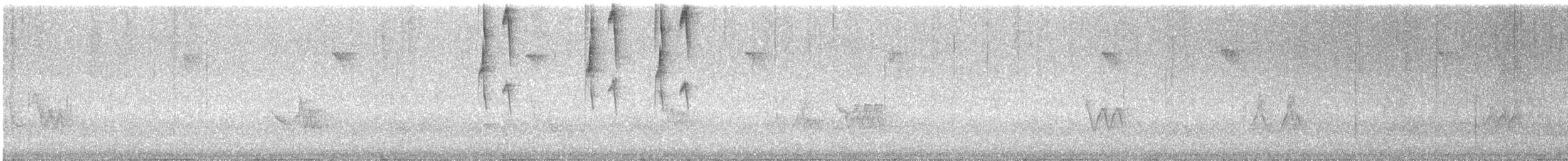 kolibřík pestrý - ML394719611