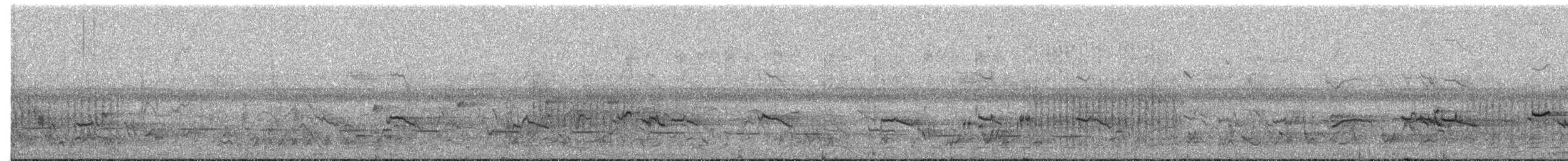 Narrow-tailed Starling - ML394746481