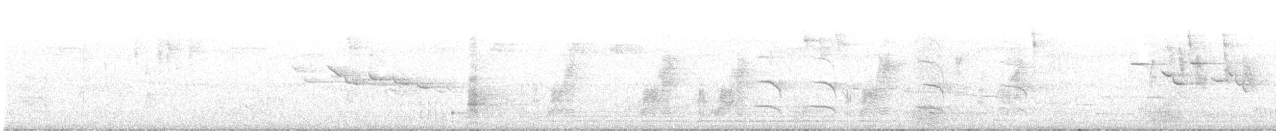 hvitnakkehonningeter - ML394902581