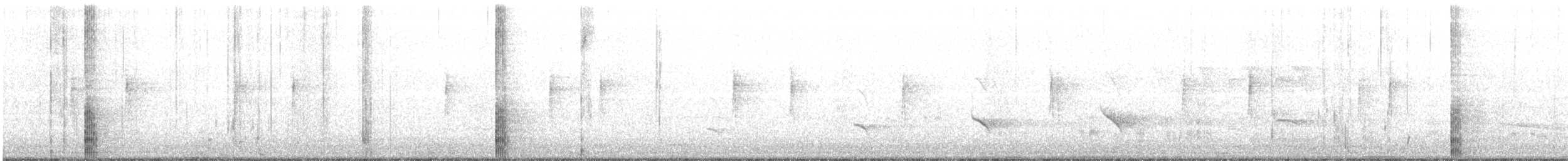 Foulque d'Amérique - ML394999921