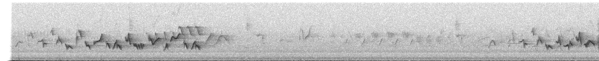 Western Warbling Vireo - ML395112841