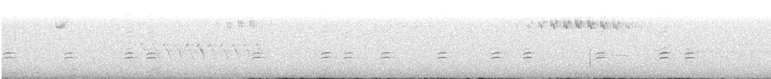 Piquituerto Aliblanco (leucoptera) - ML395129281