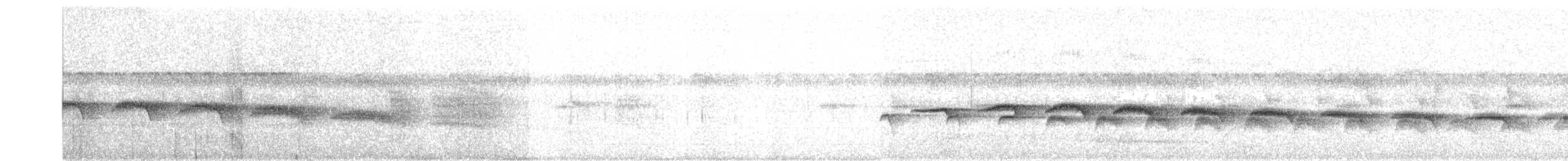 Schmalbrauen-Ameisenschnäpper - ML395156341