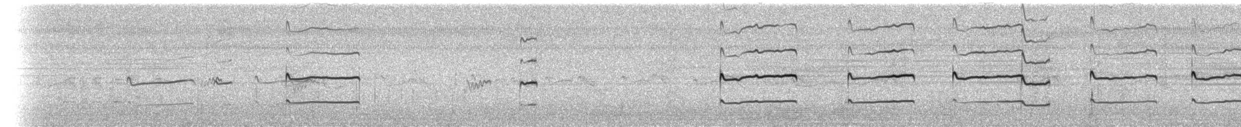 Kildir txirritxoa - ML39517351
