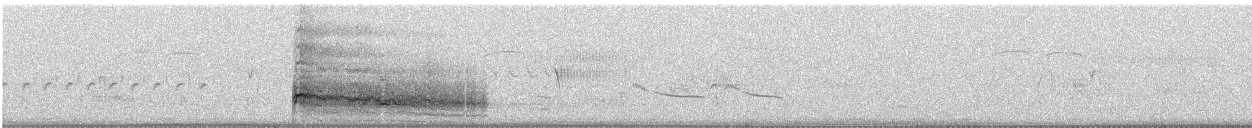 Red-tailed Hawk (calurus/alascensis) - ML395182981