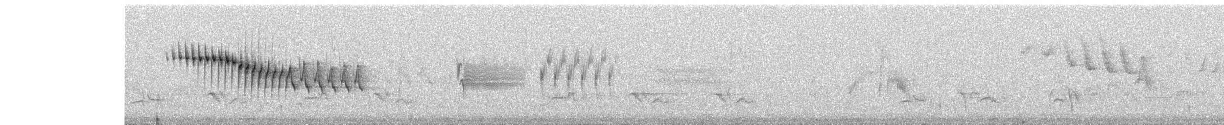 Orange-crowned Warbler - ML395183021