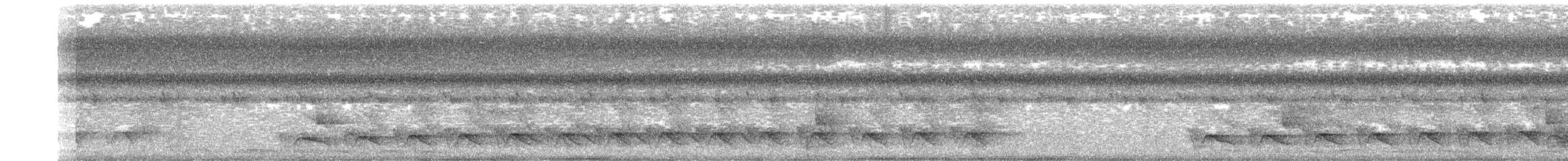 シラオラケットカワセミ - ML395275981