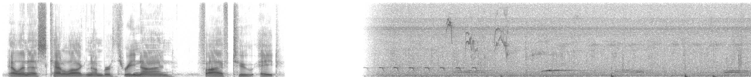 Цукрист жовточеревий - ML39528