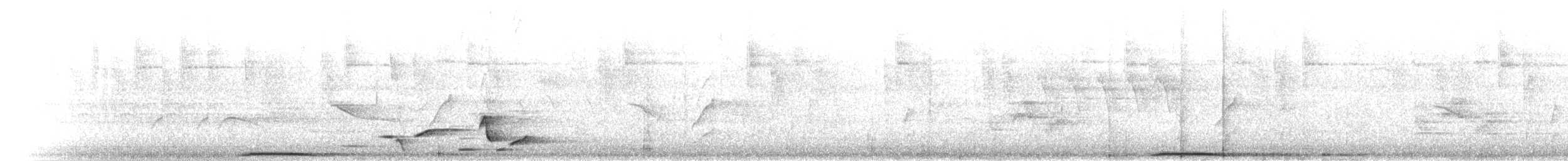 Толимская голубка - ML395330741