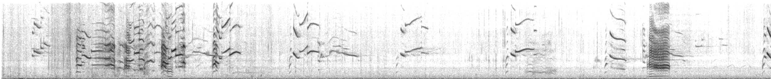 Делавэрская чайка - ML395337681