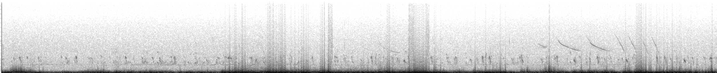 potápka stříbřitá (ssp. occipitalis) - ML395373211