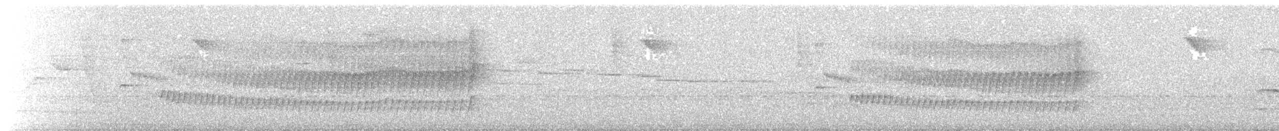 White-throated Spadebill - ML395630601