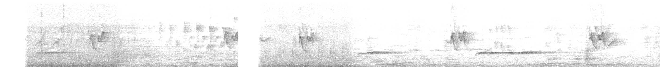 Luì di Hume - ML395647221