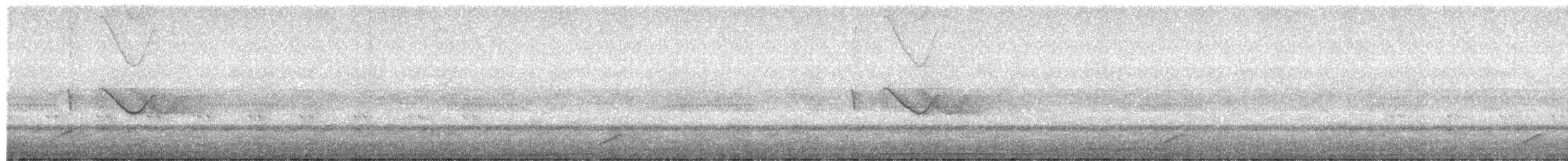 Spot-tailed Nightjar - ML395705651