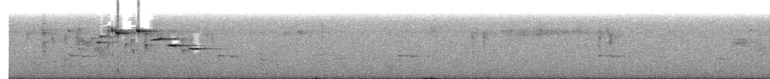 Gray Fantail - ML395805561