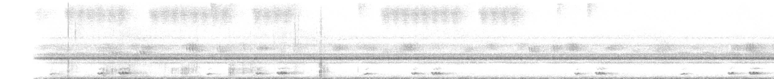 東方角鴞(sunia群) - ML395840991