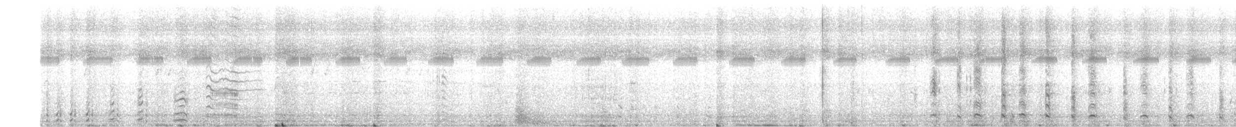 Common Gallinule - ML395911571