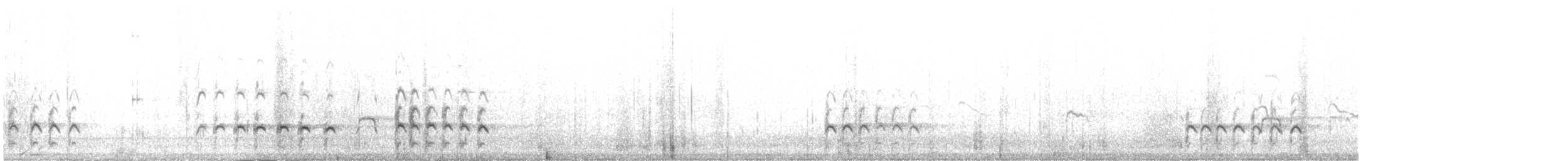 チュウシャクシギ（phaeopus） - ML395914371