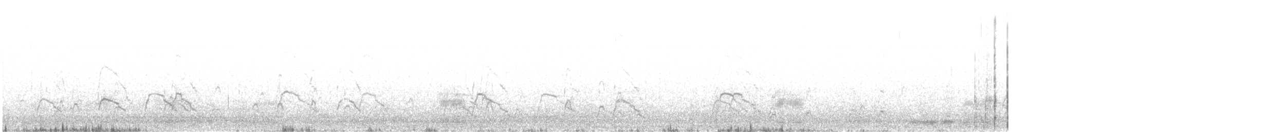 Canard siffleur - ML395948481