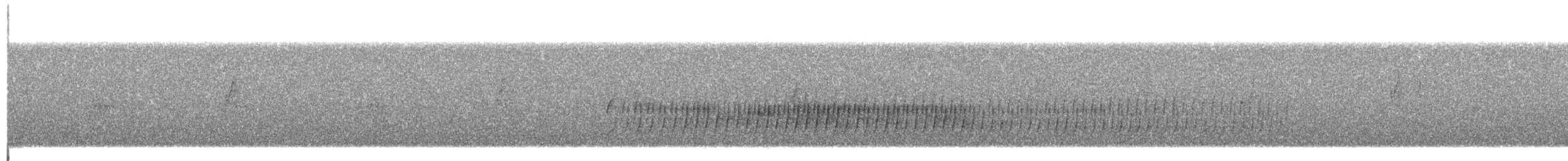 Steinbach's Canastero - ML396006611