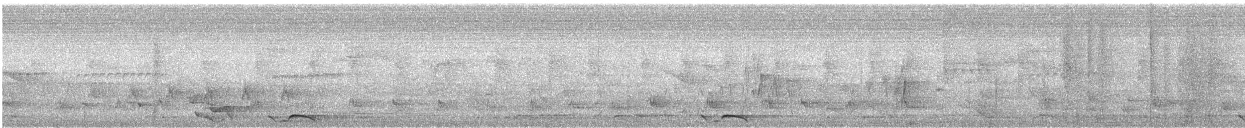 Black-tailed Oriole - ML396010521