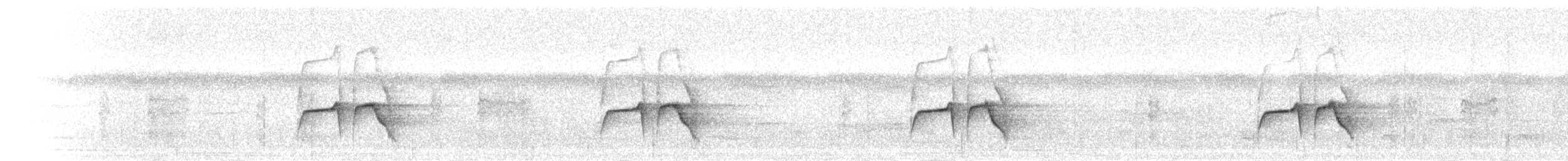 Weißflecken-Ameisenwächter - ML396092151